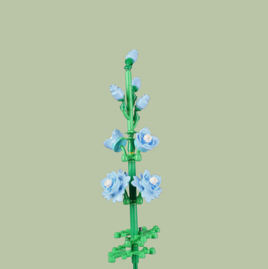 Larkspur