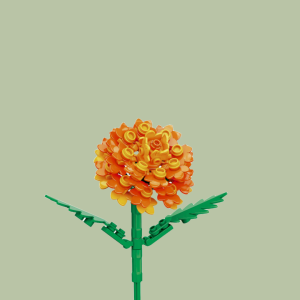 Marigold