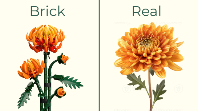 November birth flower chrysanthemum displayed as a real bloom next to a LEGO chrysanthemum