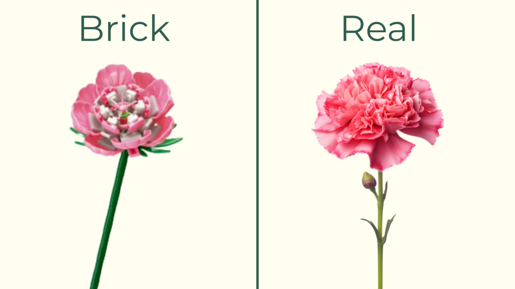 January birth flower carnation shown in real bloom next to LEGO carnation flower build
