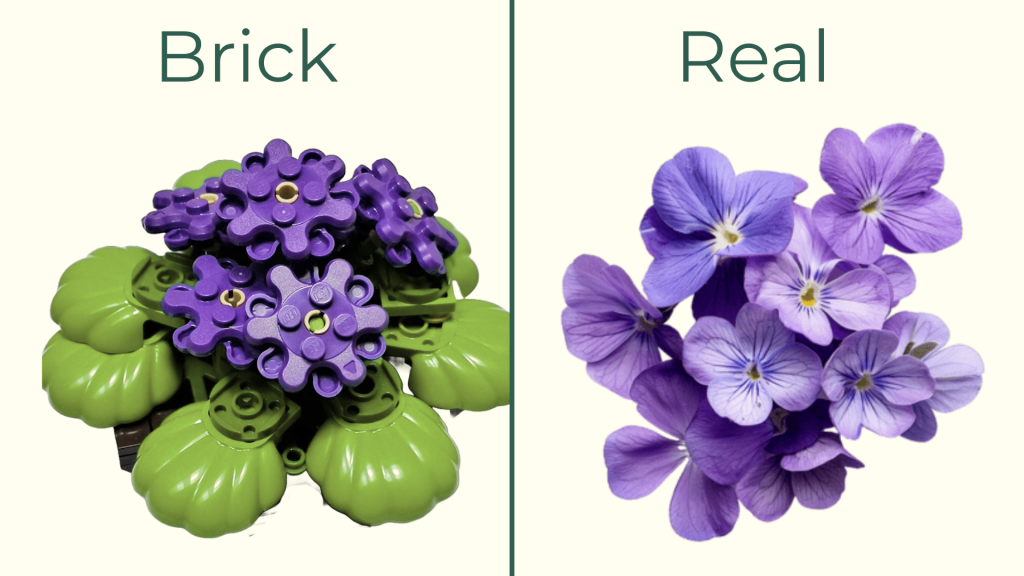 February birth flower violet displayed as a real violet alongside a LEGO flower version