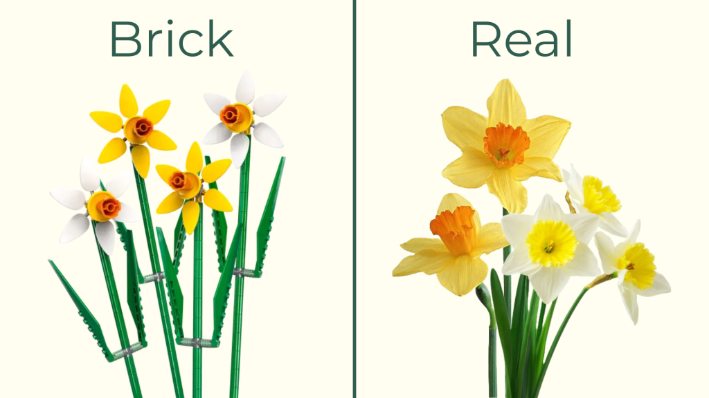 March birth flower daffodil comparison showing a real daffodil and a LEGO daffodil flower