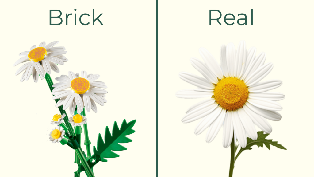 April birth flower daisy shown side by side with a real daisy and a LEGO daisy flower