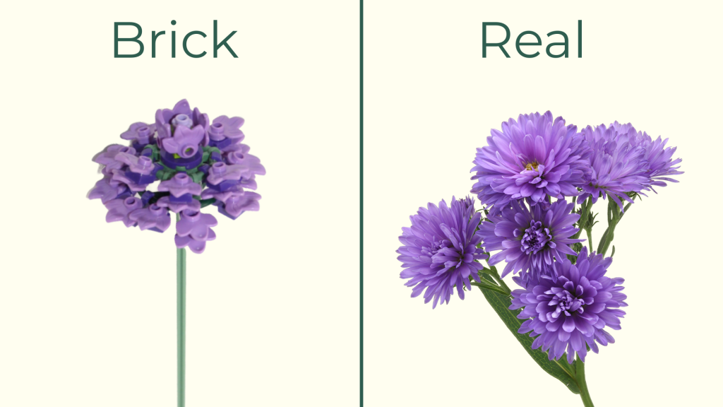 September birth flower aster shown side by side with a real aster and a LEGO flower version